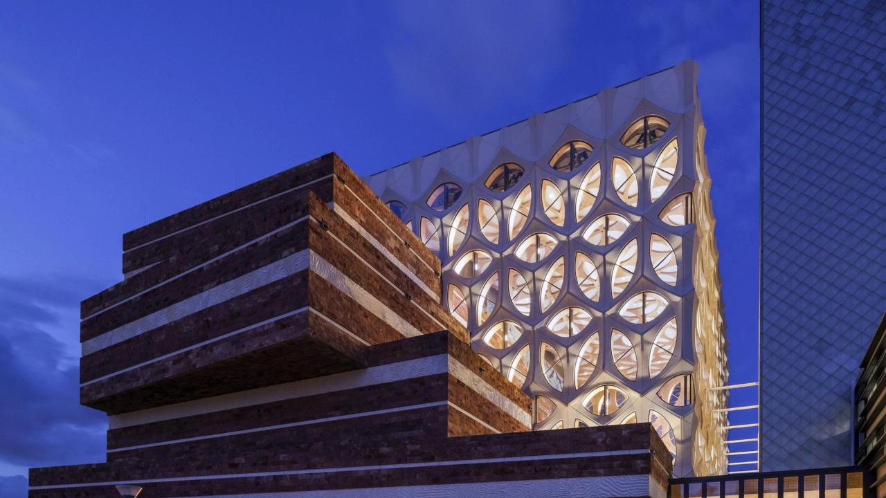 Gebouw Naturalis donker