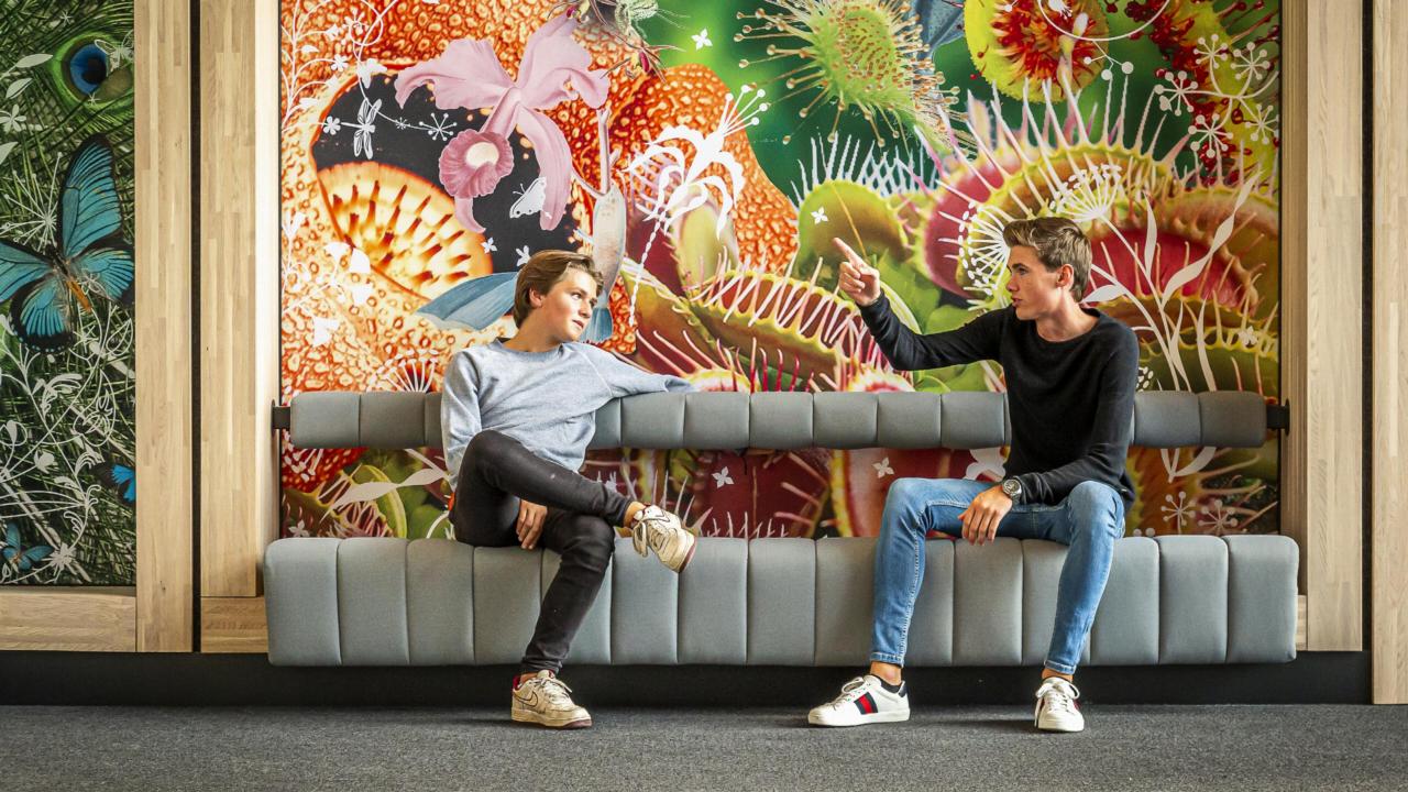 Youth in the museum