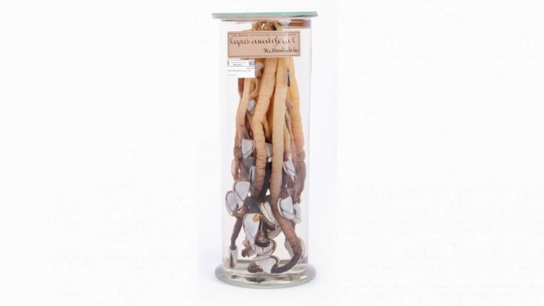 A jar of duck mussels