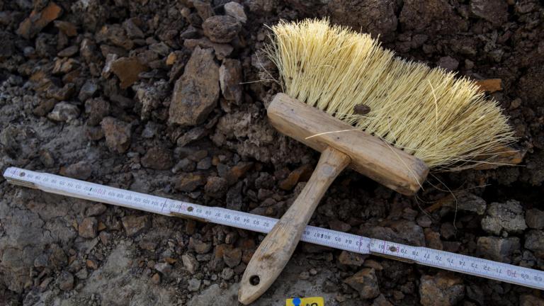 Paleontologenkwast op expeditie Triceratops