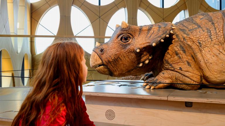 Triceratops in Naturalis