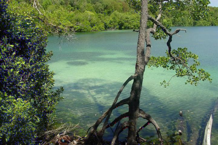 Marine lakes
