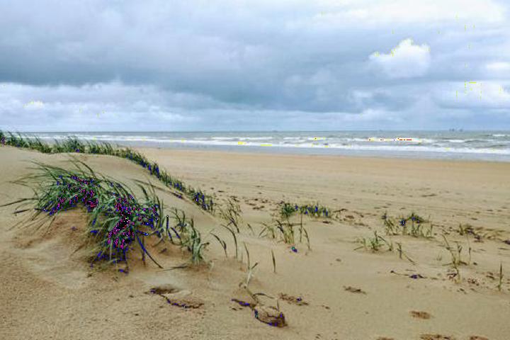 Sandy beach