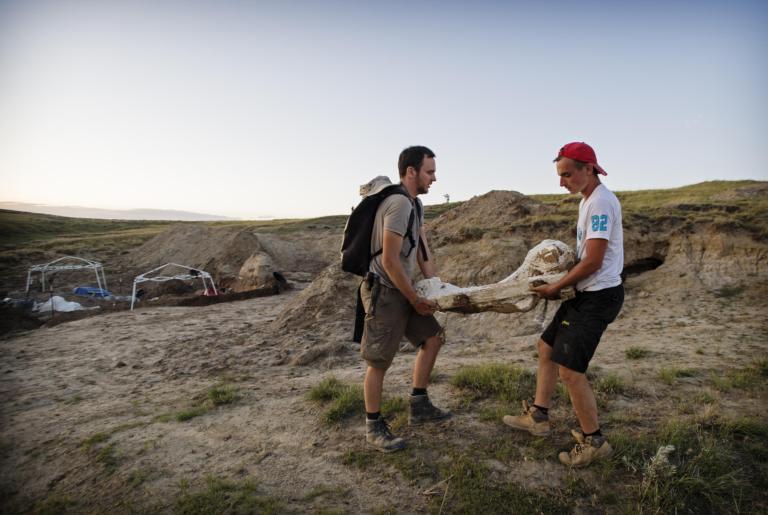 Researchers in the field