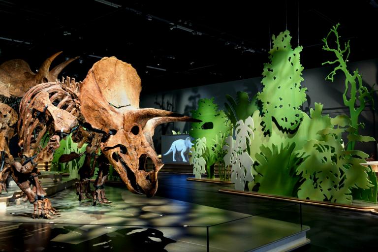 Tentoonstelling Triceratops: de kudde
